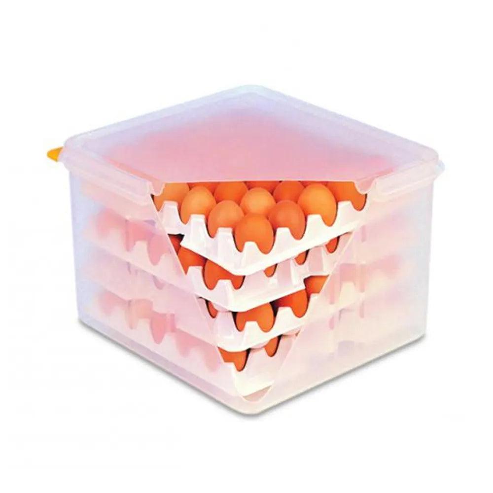 Egg Box 35.4 x 32.5 x 20 cm   HorecaStore