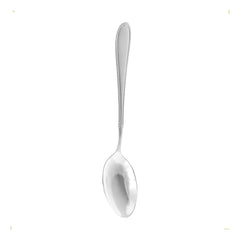 Winsor Stainless Steel Cake Serving Spoon Proud, Silver