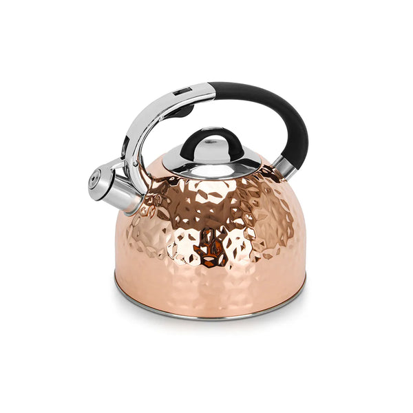 Nicole Series Stainless Steel Whistling Kettle, 2.5 ltr. Capacity