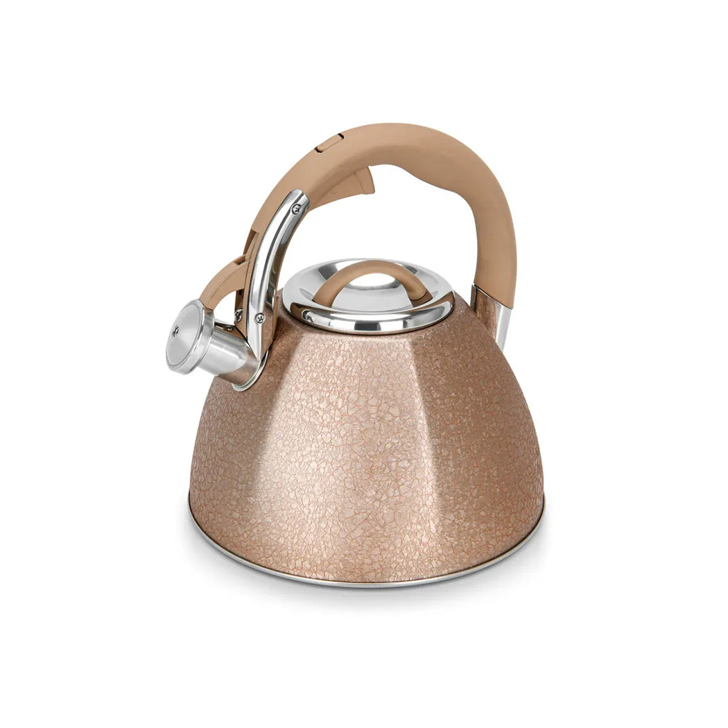 Goldy Series Stainless Steel Whistling Kettle, 3 ltr. Capacity