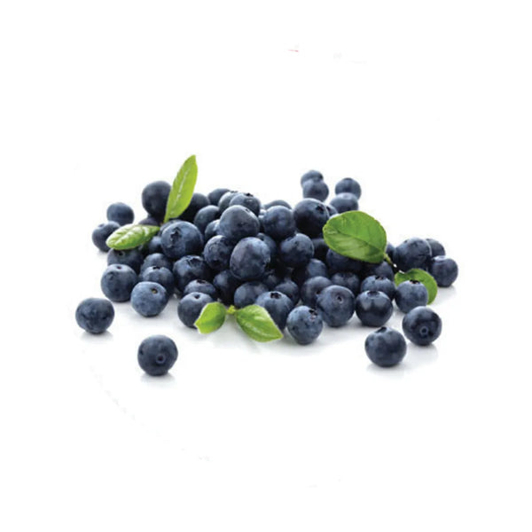 Fruits Rouges Blueberry Puree 90 % Frozen, 6 x 1 kg