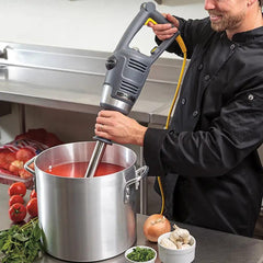 Hamilton Beach HMI021 BigRig Immersion Blender Variable Speed 1000W