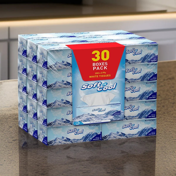 hotpack soft n cool white facial tissue 200 x 2 ply 30 pcs