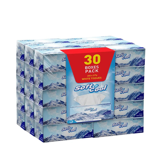 hotpack soft n cool white facial tissue 200 x 2 ply 30 pcs