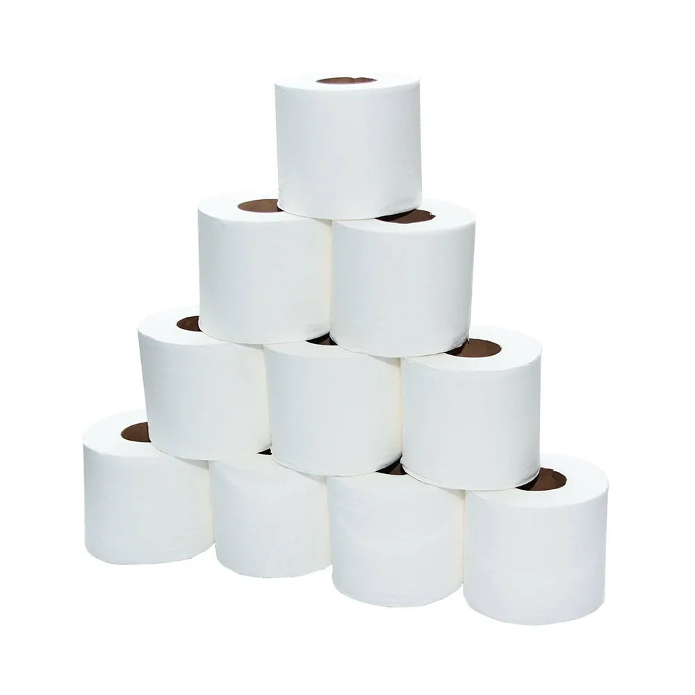 hotpack toilet roll 2 ply 10 x 10 cm 100 rolls 500 sheets